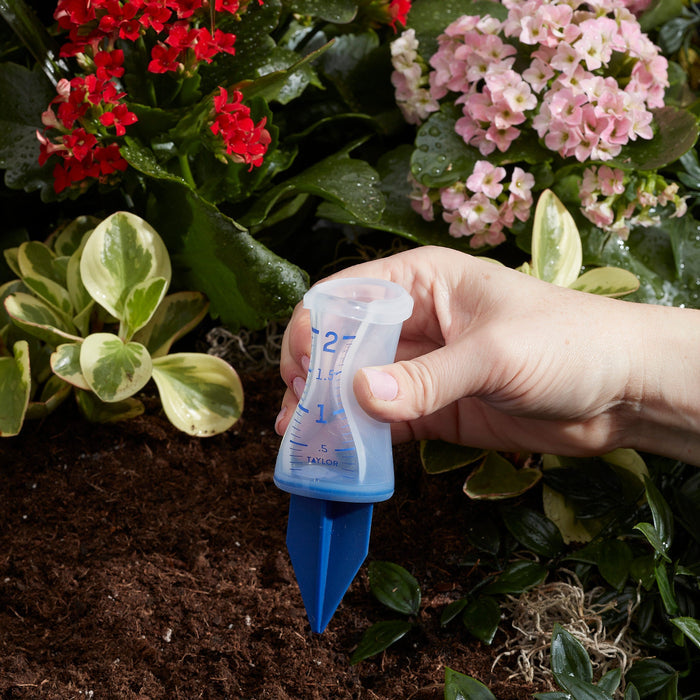 Hand holding a translucent blue 2 inch sprinkler gauge beside red and pink flowering plants
