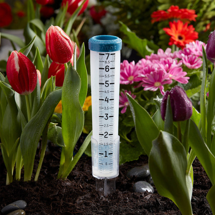 Rain gauge set in a flower bed surrounded by red tulips and pink blooms.