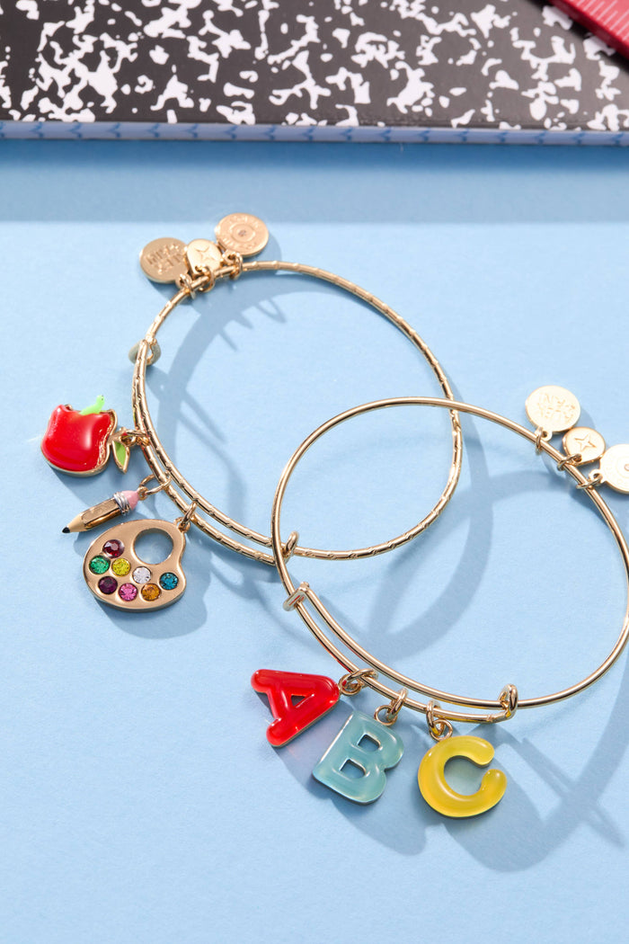 Alex & Ani ‘Teacher’s Pet' Multi Charm Textured Bangle