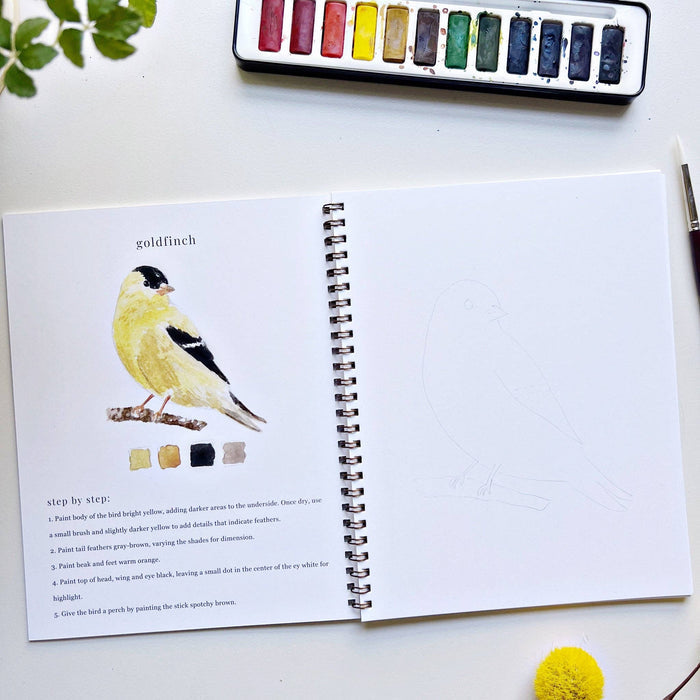Birds Watercolor Workbook - Emily Lex Studio