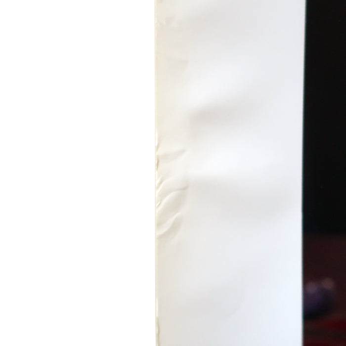 Bořek Šípek for Alterego Promo Poster