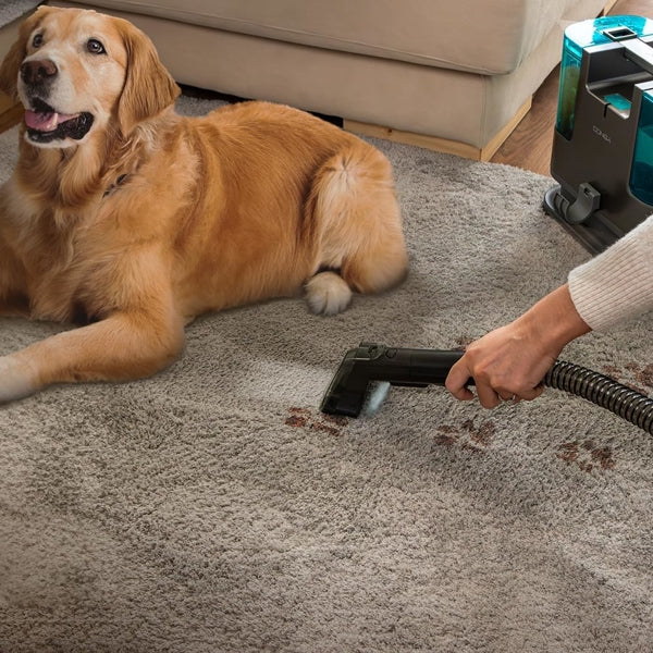 Conga 3000 CarpetClean, 400W Vacuum Cleaner Conga 3000 CarpetClean, 400W Conga 3000 CarpetClean, 400W Cecotec