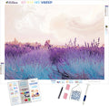 Fields of Lavender Dreams
