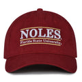 Florida State Dad Cap