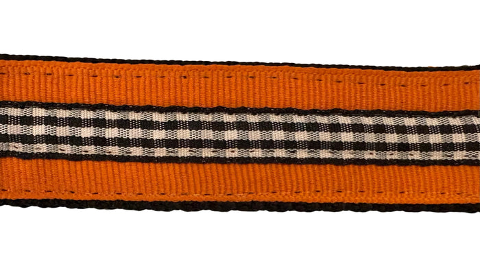 Halloween Dog Harness - Black Magic