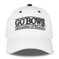 Hawaii snapback hat
