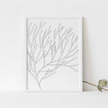 Modern Minimalist Seaweed Beach Decor Wall Art Print or Canvas - Jetty Home