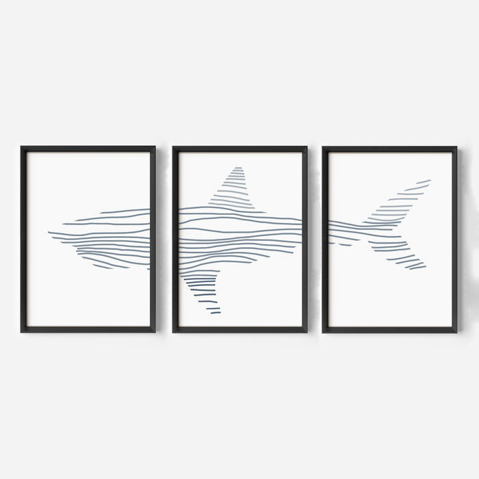 Minimalist Shark Illustration - Set of 3 - Jetty Home