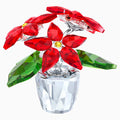 POINSETTIA, SMALL