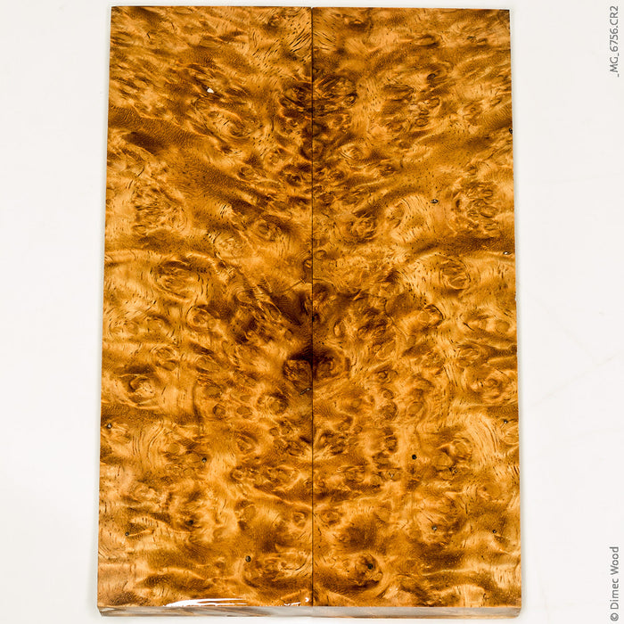 Stabilized golden amboyna burl wood scales