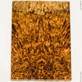 Stabilized golden amboyna burl wood scales