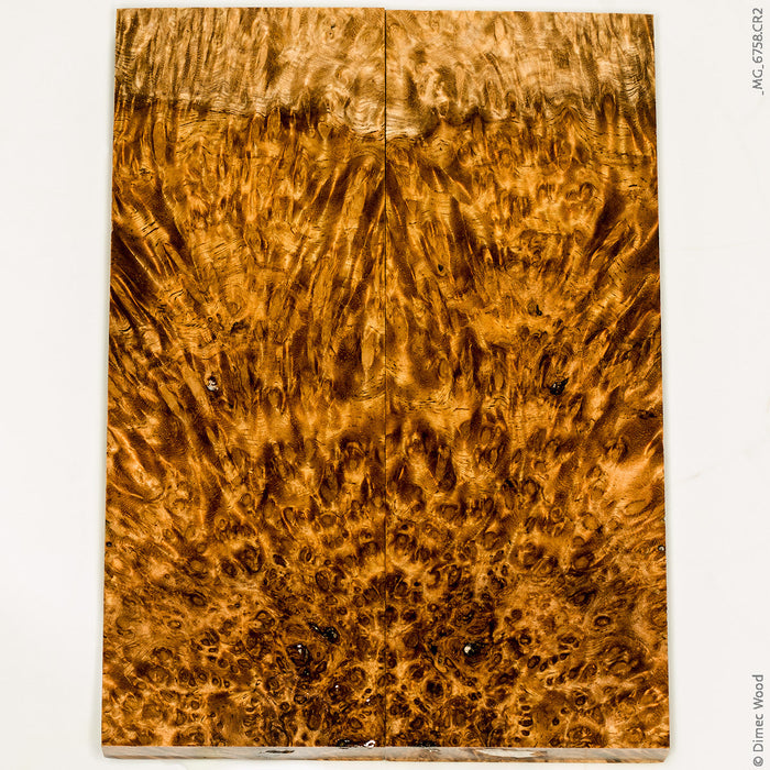 Stabilized golden amboyna burl wood scales