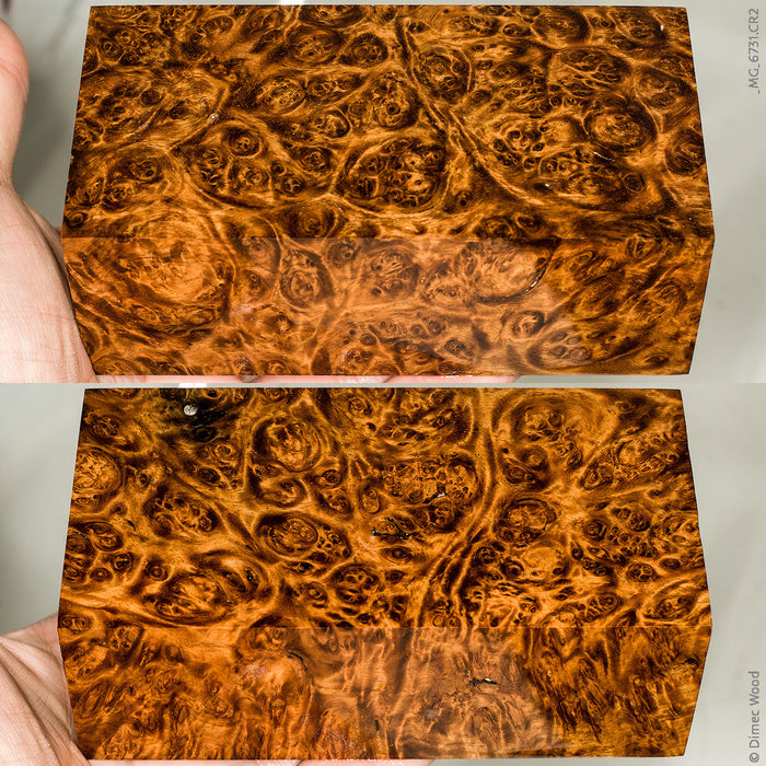 Stabilized wood golden amboyna burl block